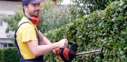 Gardener using an hedge clipper